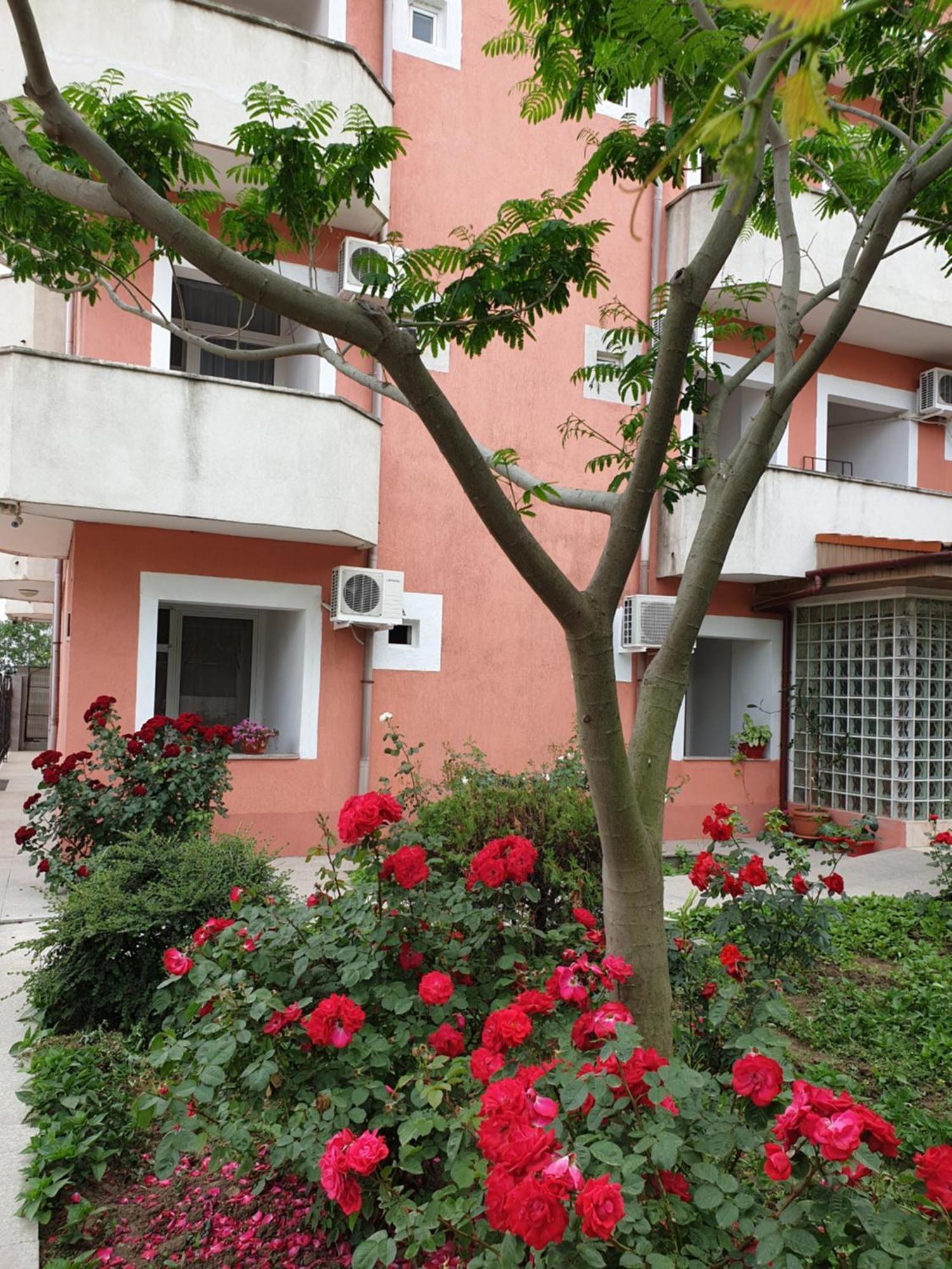 Hotel Laguna Eforie Nord Εξωτερικό φωτογραφία